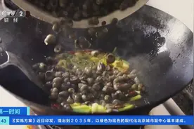 “明前螺，赛过鹅”！江苏海安螺蛳抢“鲜”上市，一斤4.5元→图片