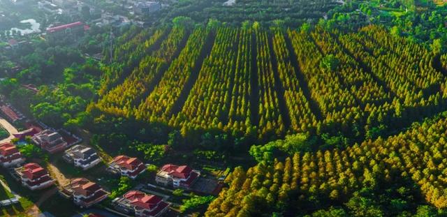 快来打卡！在日照，遇见“煤”好！