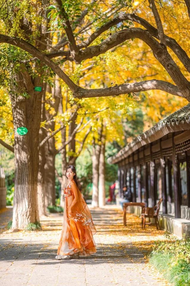 限时绝美！此刻，常州颜值巅峰