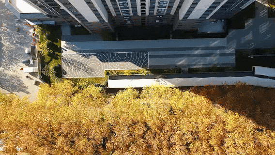 快出门！这些全是洛阳冬日限定！