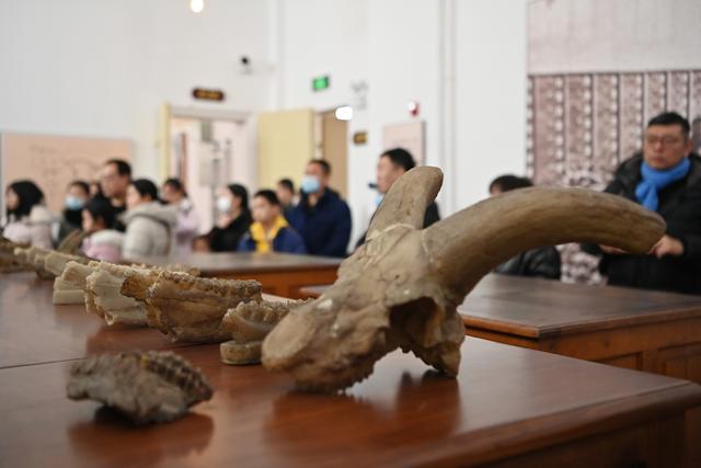 心相近｜让中法人文交流加速“双向奔赴”