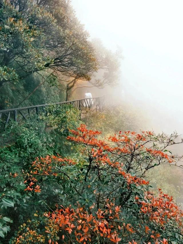 霜降已至，江西这几座名山秋色绝美，快来打卡！
