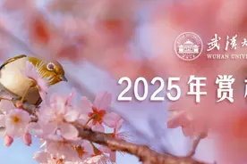 刚刚官宣！武大赏樱政策来了图片