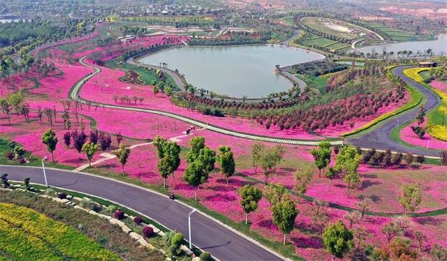 红河告白书:请查收我们的州庆成绩单