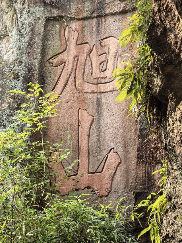 晚潮｜缙云深秋行