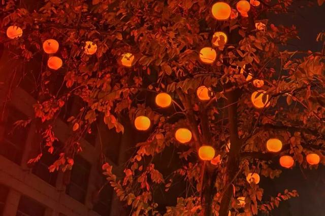 快出门！这些全是洛阳冬日限定！