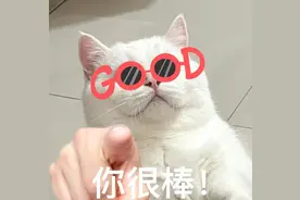 房东收到3782元转账，却立即报警？不看不知道，竟还有这种套路！图片