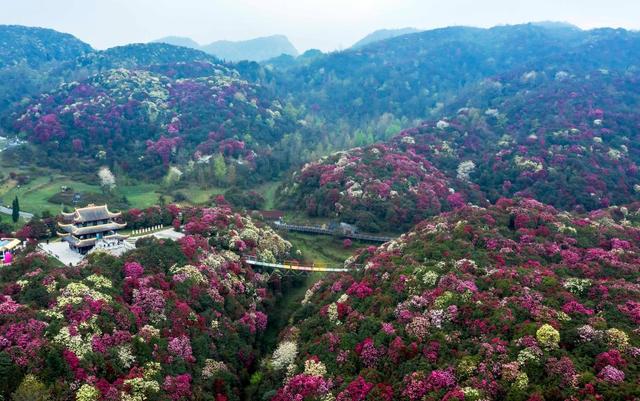 快出发！这些地方陆续美成仙境！