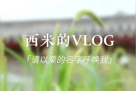 秋风送爽 禾谷飘香：“西米”的VLOG——请以粟的名字呼唤我图片