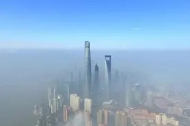 “相聚上海，共创未来”全球宣介会举行图片
