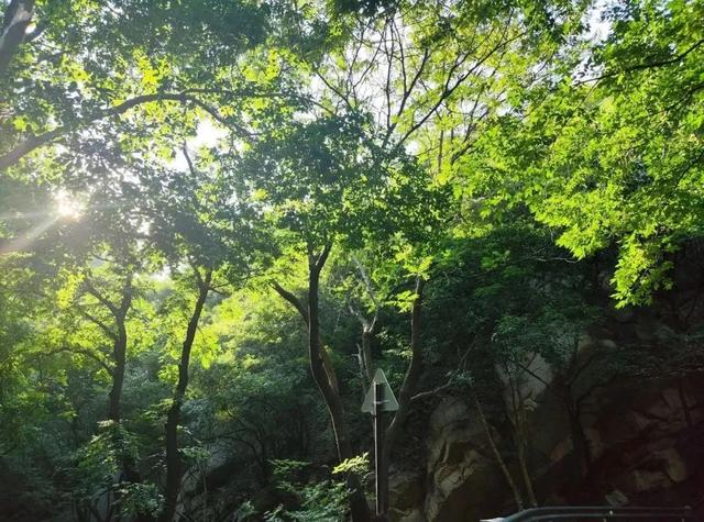 免票畅游花果山！还有超多好礼 ...