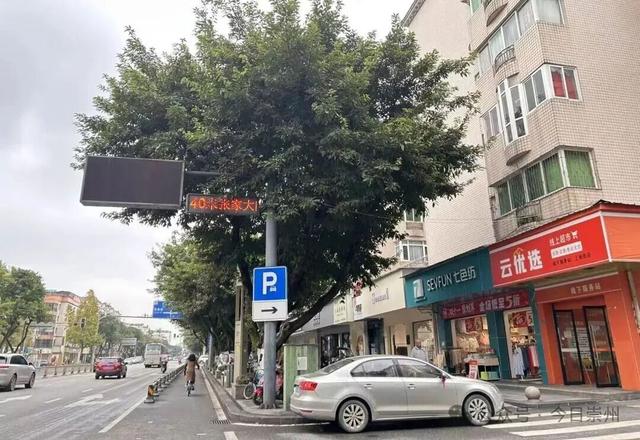 银杏季，罨画池周边停车指南来了！