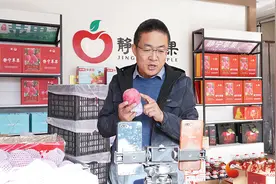 静宁：电商平台助力苹果走“俏”市场图片