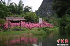 探秘桂林台商“山水景区+”的人文密码图片