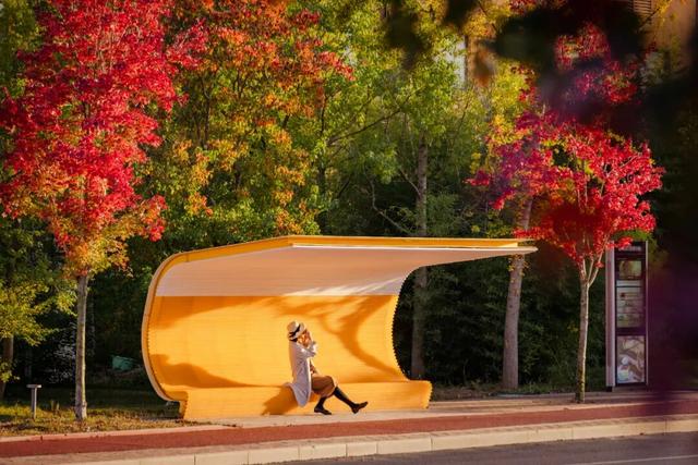 全球榜！中国榜！2026年，必打卡—日照！