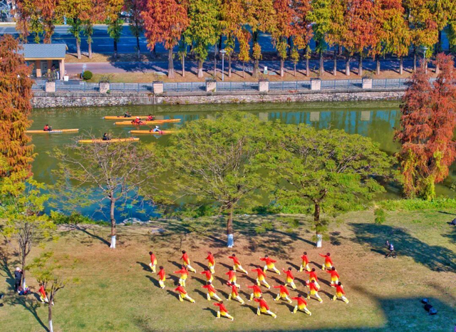 一眼心动的绝美“小森林”，在伦教找到了！