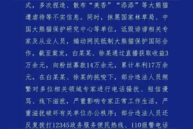 为“养号”疯狂造谣！警方揭露“熊猫造谣者”背后的套路图片