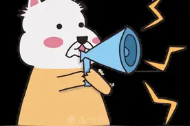 厦门中招志愿今起填报！大白话填报心得来了图片