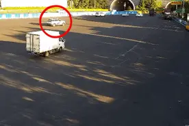 事发诸永高速，女子被蛇咬伤，跨省就医途中毒发……图片