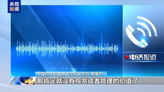 让文明为自然留住美景 别让“捡秋”变“伤秋”