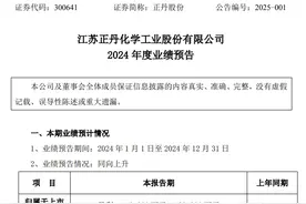 A股公司陆续披露2024年业绩预告，正丹股份净利预增最高超130倍图片