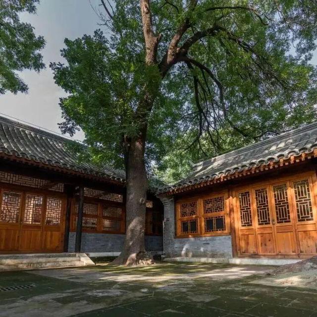 返程路上翻“朋友圈”，西城的快乐跳出屏幕
