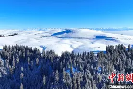 新疆阿克塔斯草原雪后美景醉人图片