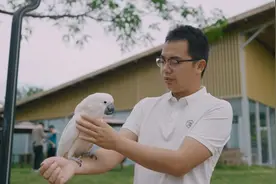 苗伟男：梦想成为“鹦鹉大王”图片