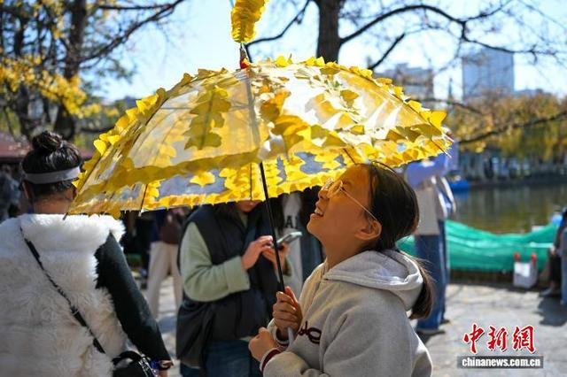 大雪节气云南昆明温暖如春