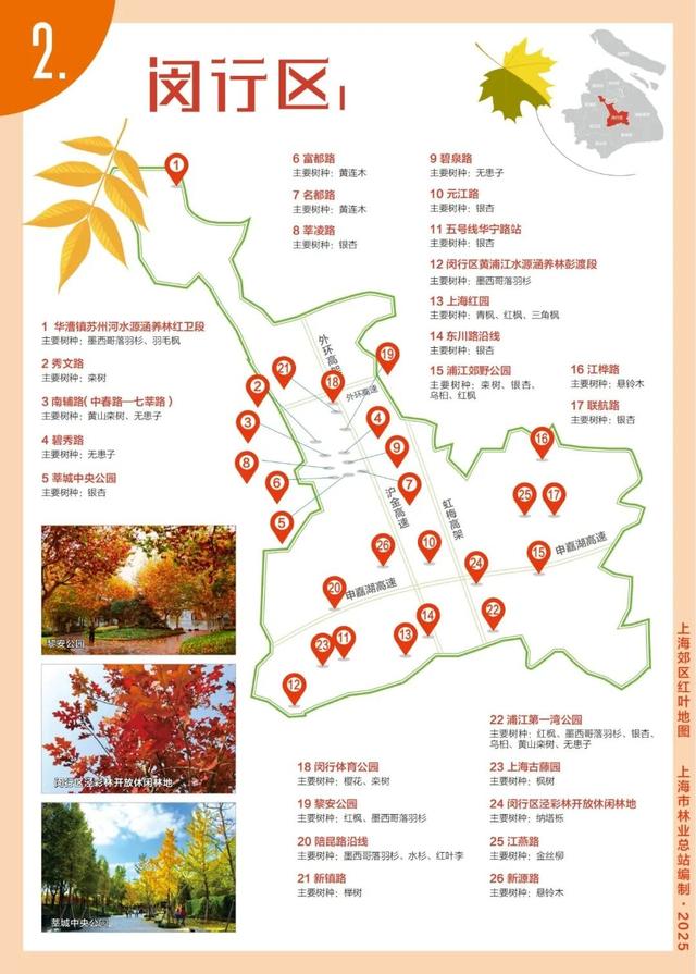 红叶地图出炉，闵行限定秋景就在→