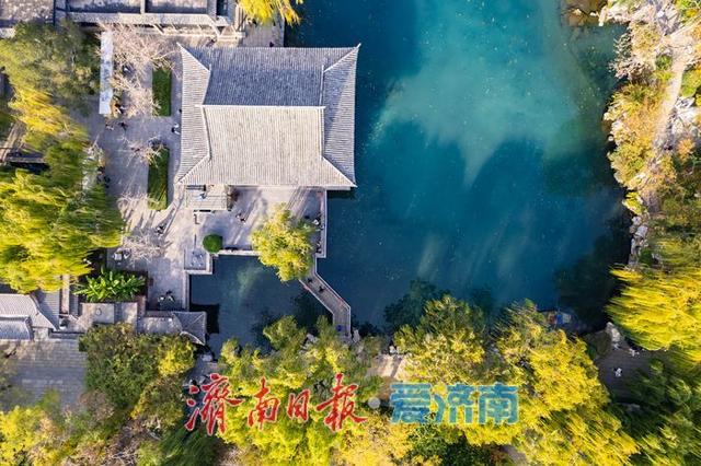一年四季 泉在济南丨初冬时节，五龙潭公园色彩斑斓景致如画