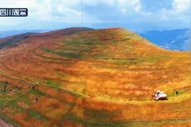 风吹漫天的金黄 渲染秋收的喜悦图片