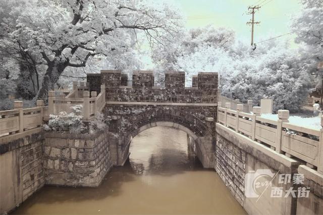 爆款预警！上海“第二个蟠龙天地”要来了？这条1500余岁的老街即将大变身