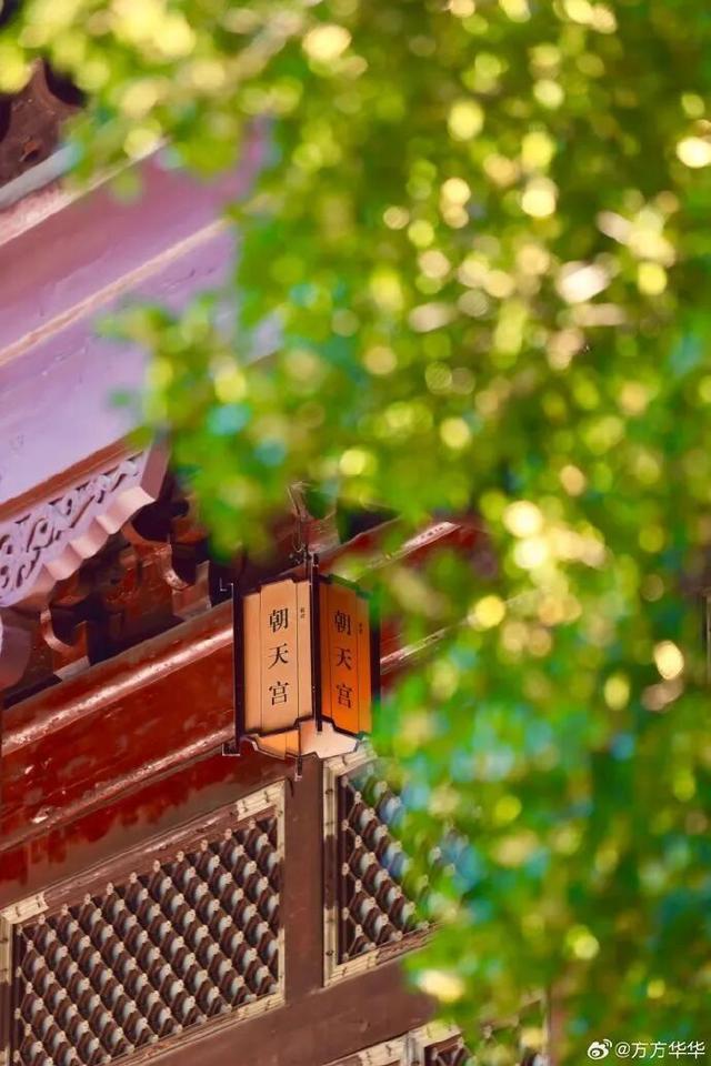 秦淮花事 | 秋日限定！在秦淮，与一场桂花雨不期而遇→