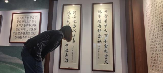 5大展区亮点纷呈！济南起步区鹊山生态文化区藏着“齐鲁园林盛宴”