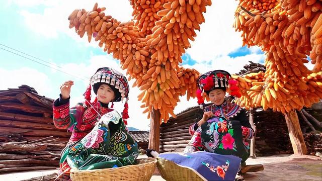 今天，楚雄要给你点颜色看看