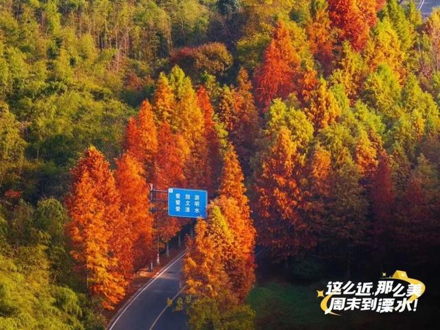 溧水赏秋指南，这周末就出发！