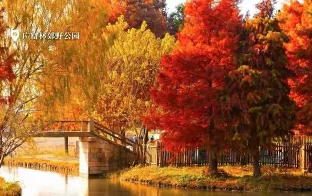 松江诚意满满的超级优惠来了！快来解锁冬日惠游新体验