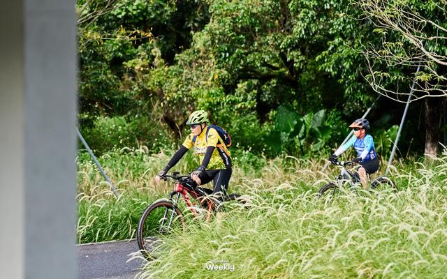 出发!去深圳最特别的「胖虎主题市集」,逛吃一天