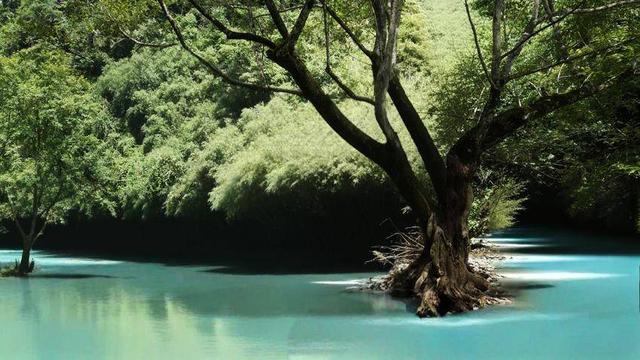 鹤峰：清凉入画小甘溪