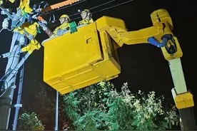戎装换工装，电网“高空战士”守护万家灯火图片