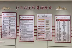 立法民意“直通车”，如何开得更稳更快？图片