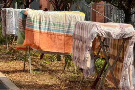 放寒假着急回家的大学生们，离校前不要忘记做这些事情！图片