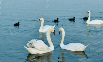 全部免费！郑州适合散步放空的7个湖景公园推荐！