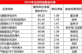 2024主动权益基金红黑榜：平均收益5.72%，多位老将马失前蹄图片
