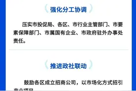 新形势下武汉招商引资这样干→图片