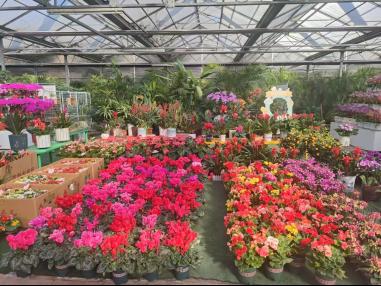 最新攻略来啦！快来坐着地铁逛公园