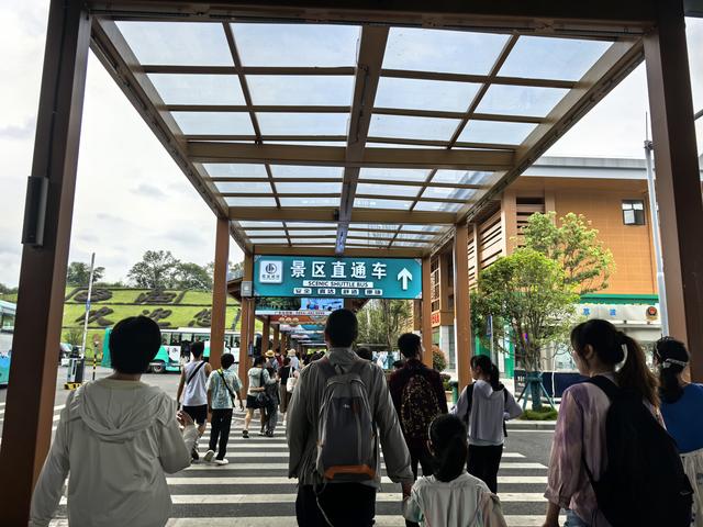 游客点赞：体验值“拉满”！日均8万游客，荔波服务保障到位！