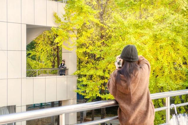 限时绝美！年度顶流！