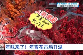 持续升温！“顶流”热销！20元就能买一把……图片